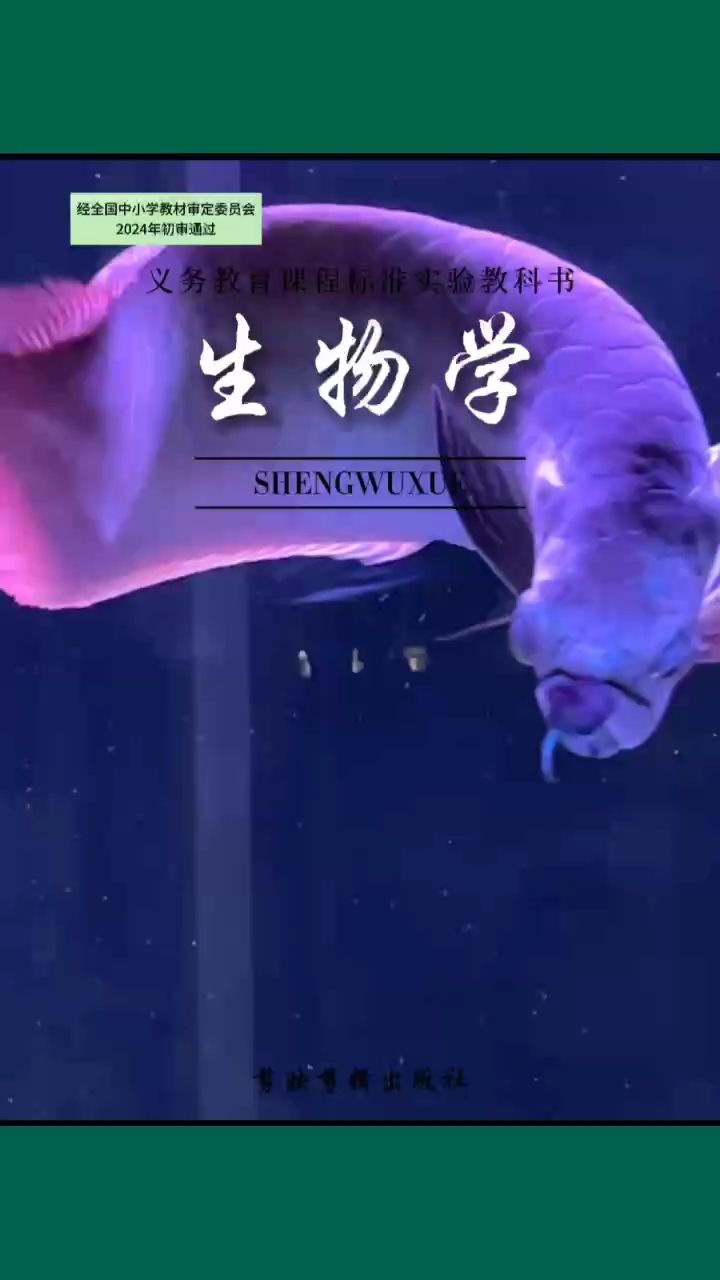 日進(jìn)斗金，年年有魚：魟魚來了感覺整缸都靈動(dòng)起來了 觀賞魚論壇