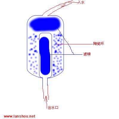 金龍魚(yú)為什么一直呆在出水口：金龍魚(yú)為什么一直呆在出水口可能是因?yàn)樗腥毖趸蛩|(zhì)問(wèn)題 龍魚(yú)百科 第2張