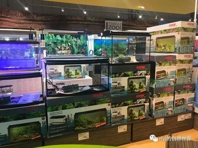 大港賣魚缸的地方有哪些店鋪：天津市濱海新區(qū)大港地區(qū)的寵物店、服務(wù)信息 魚缸百科 第1張