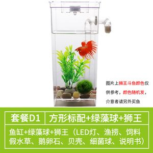 半月斗魚魚缸要多大 魚缸百科 第4張