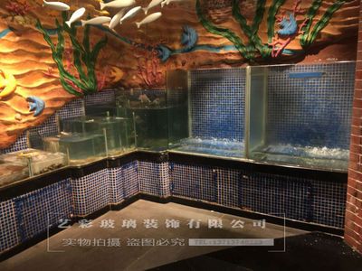 定做回收各種規(guī)格海鮮魚缸,大型、異型海鮮池：武漢地區(qū)58同城網(wǎng)站觀賞魚缸定做、海鮮池定做服務(wù) 魚缸百科 第4張