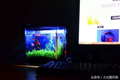 森森魚缸顯示器不亮了