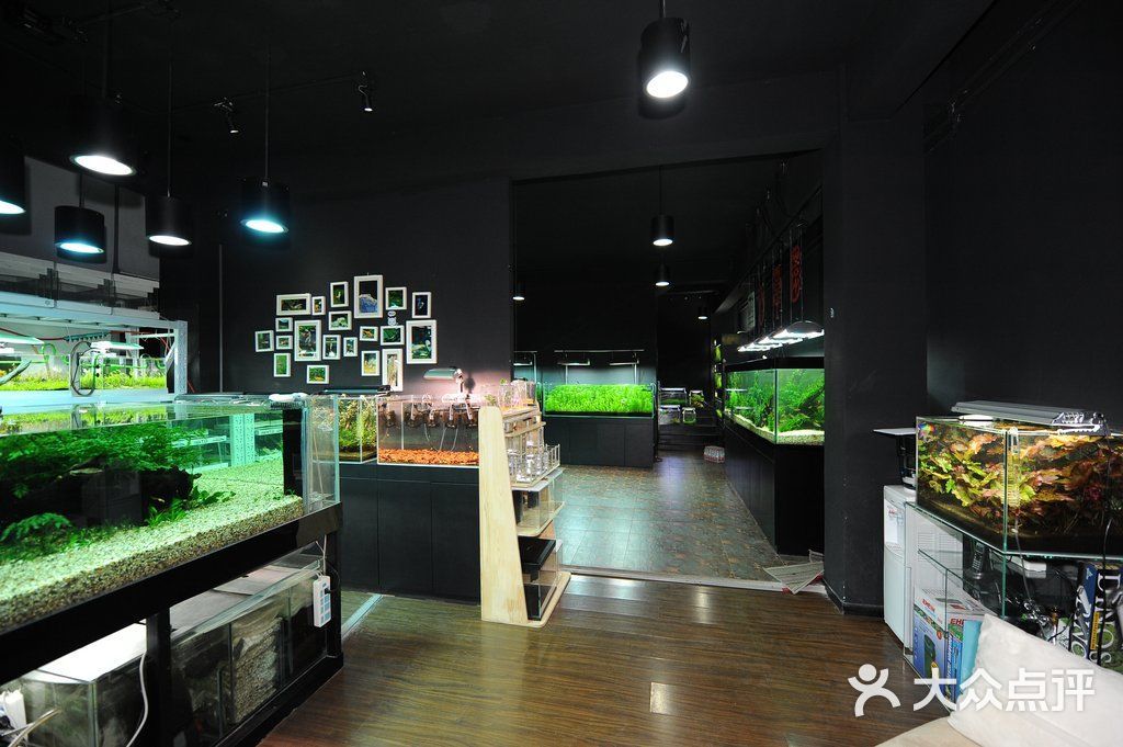 大亞灣哪里有賣魚缸的店鋪呢：大亞灣哪里有賣魚缸的店鋪 魚缸百科 第1張