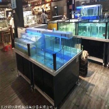 超市魚缸的魚該怎么養(yǎng)活呢：在超市養(yǎng)魚需要注意哪些問題？ 魚缸百科 第3張