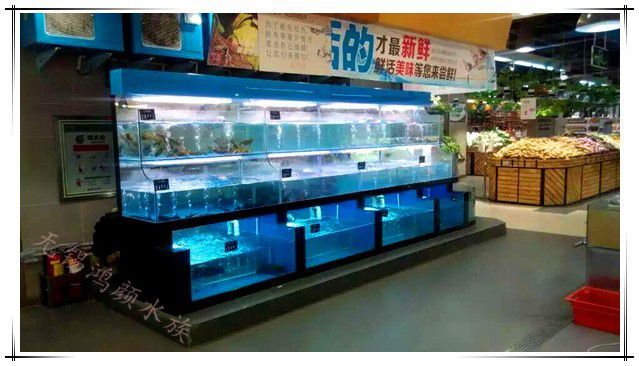 超市魚缸的魚該怎么養(yǎng)活呢：在超市養(yǎng)魚需要注意哪些問題？ 魚缸百科 第2張