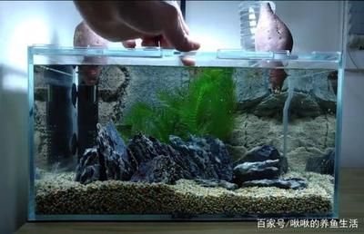 玻璃魚缸和亞克力魚缸：亞克力魚缸和亞克力魚缸選擇亞克力魚缸和亞克力魚缸 魚缸百科 第3張