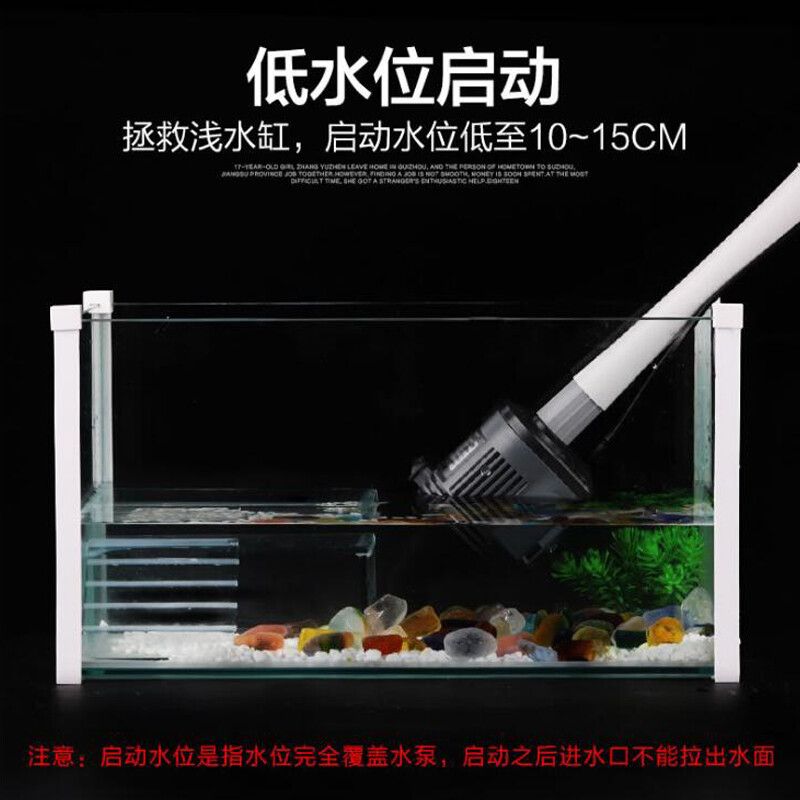 擦魚缸的工具叫什么名字：如何使用魚缸刷 魚缸百科 第2張