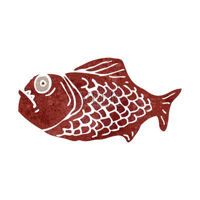 虎魚(yú)怎么畫(huà)？：如何畫(huà)虎魚(yú) 虎魚(yú)百科 第1張