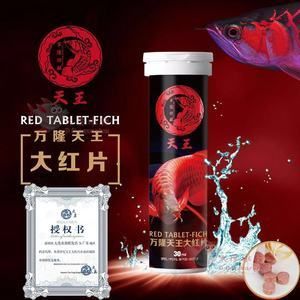 虎魚身上有白點會傳染嗎：虎魚身上有白點會傳染給其他魚嗎