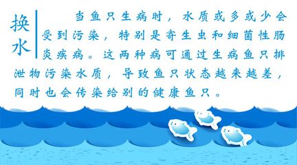 魟魚腸炎只加強換水能治愈嘛：魟魚腸炎只加強換水能治愈嘛， 魟魚百科 第2張