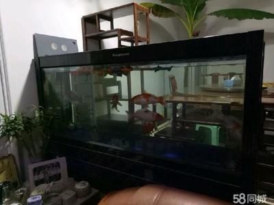 大魚牌魚缸廠家：大型魚缸定制和生產(chǎn)廠家搜索結(jié)果中提到了一些知名的魚缸品牌和廠家