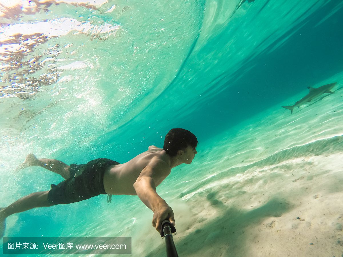 魟魚浮在水面不動：魟魚浮在水面不動是什么原因？ 魟魚百科 第3張