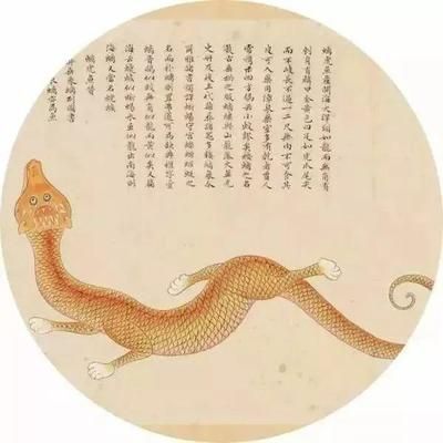 印度虎魚的愛情 狐陽：有聲書:印度虎魚的愛情 虎魚百科 第2張