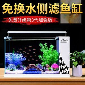 不用打理的魚缸有哪些種類：不用打理的魚缸 魚缸百科 第4張