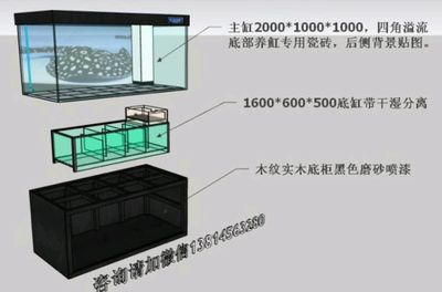 瓷磚制作魚缸視頻教學(xué)：diy瓷磚魚缸的步驟和注意事項(xiàng) 魚缸百科 第1張