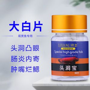 虎魚蒙眼用大白片可以嗎：虎魚蒙眼用大白片可以嗎虎魚蒙眼用大白片可以嗎 虎魚百科 第2張