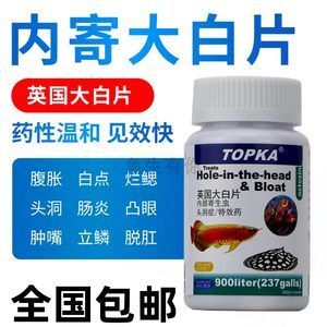 虎魚蒙眼用大白片可以嗎：虎魚蒙眼用大白片可以嗎虎魚蒙眼用大白片可以嗎 虎魚百科 第3張