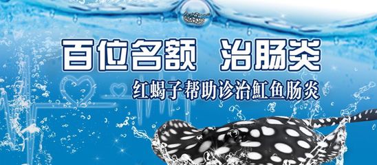 魟魚加鹽能治腸炎嗎：在藥物治療中，[需手動(dòng)填充]魚加鹽能治腸炎嗎 魟魚百科 第1張