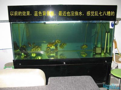 超大魚(yú)缸制作：制作超大魚(yú)缸的注意事項(xiàng)