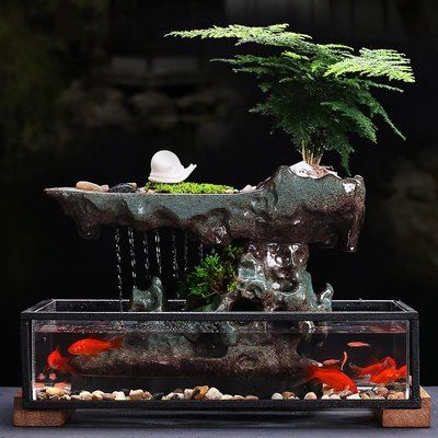 瓷盆魚(yú)缸造景室內(nèi)可以放嗎：如何制作瓷盆魚(yú)缸造景 魚(yú)缸百科 第4張