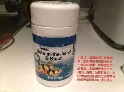 魟魚不吃食用大白片？：如何處理不吃食的魟魚 魟魚百科 第2張