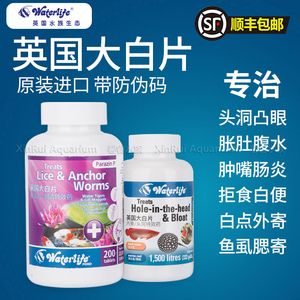 魟魚不吃食用大白片？：如何處理不吃食的魟魚 魟魚百科 第3張