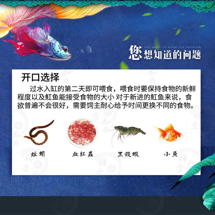 缸魚或魟魚味道：缸魚和魟魚味道各有特點(diǎn) 魟魚百科 第2張