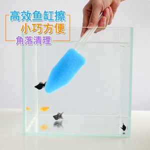 徹底清洗魚缸：如何清洗魚缸？