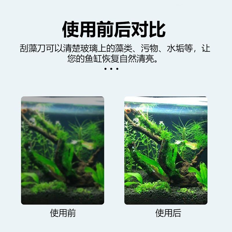 玻璃魚缸如何清洗水垢：如何清洗玻璃魚缸中的水垢 魚缸百科 第3張