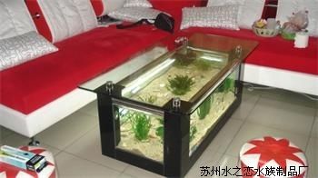 茶葉放魚缸里會壞嗎：茶葉不適合放入魚缸，但茶水不適合放入魚缸，對魚產(chǎn)生不良影響 魚缸百科 第3張