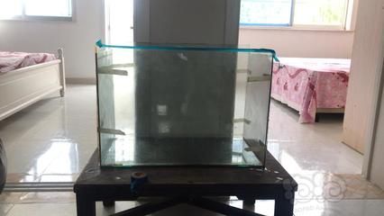 玻璃可以做魚缸嗎：如何選擇合適的玻璃魚缸