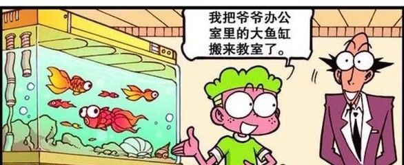 搬魚缸找誰：如何保養(yǎng)魚缸？ 魚缸百科 第1張