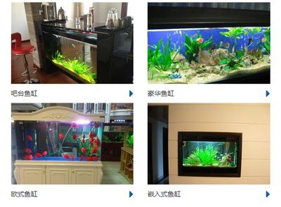 成品魚缸使用年限規(guī)定：如何延長魚缸的使用壽命 魚缸百科 第1張