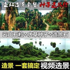 沉木魚缸造景視頻：關(guān)于沉木魚缸造景的一些視頻推薦