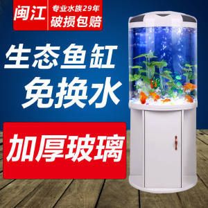 半圓魚缸造景：半圓魚缸造景的基本步驟和建議 魚缸百科 第3張