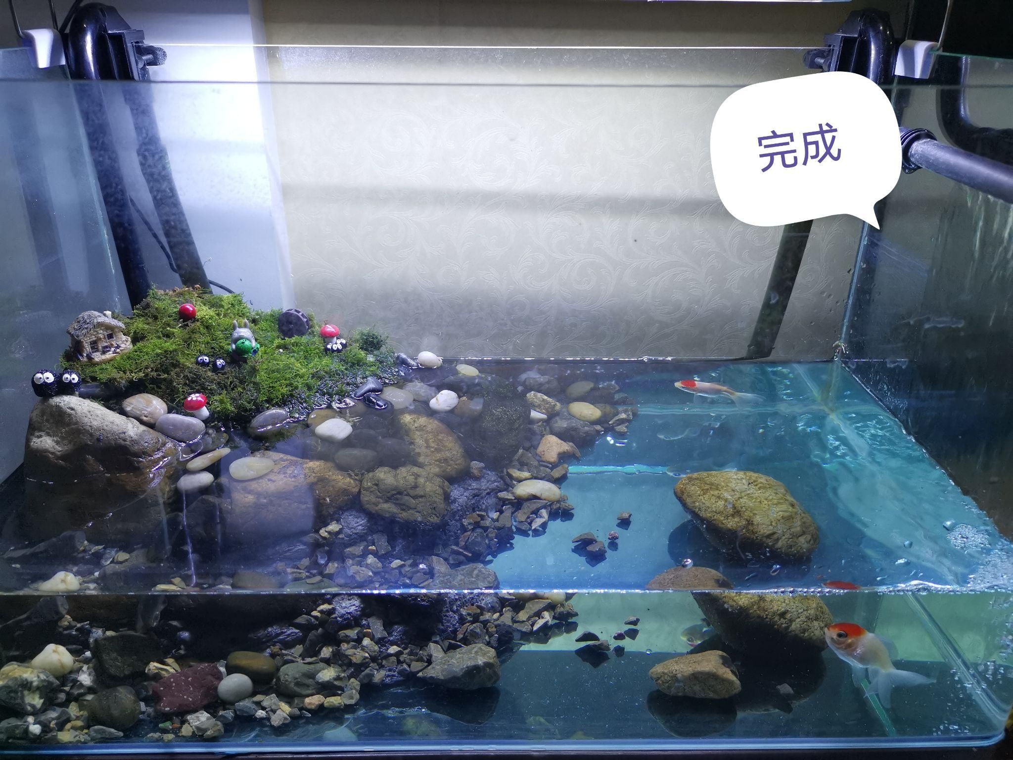 大型魚缸怎么清洗底部：如何清洗大型魚缸底部？ 魚缸百科 第4張