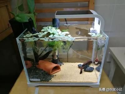 森森魚(yú)缸保定售后電話(huà)：關(guān)于森森魚(yú)缸保定售后電話(huà)的一些信息