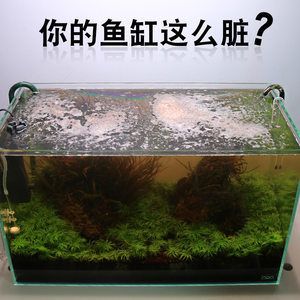 大型魚缸除藻最佳方法是什么：大型魚缸如何除藻 魚缸百科 第1張