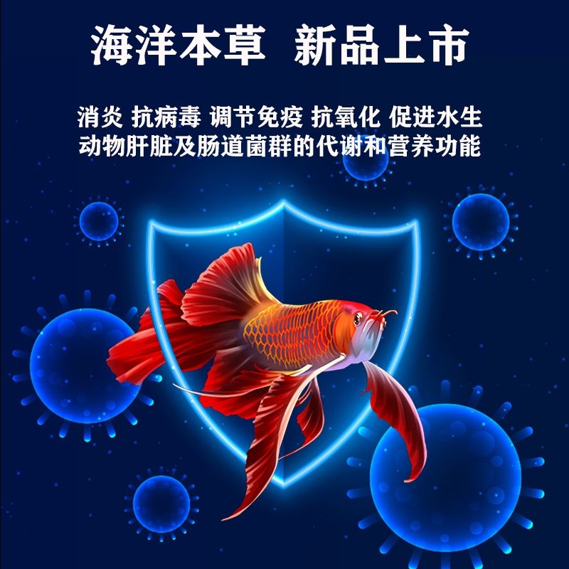 海洋本草～招代理：海洋本草，增強食欲 觀賞魚論壇 第3張