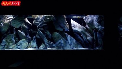 純石頭魚缸造景：魚缸造景石頭布置技巧 魚缸百科 第4張