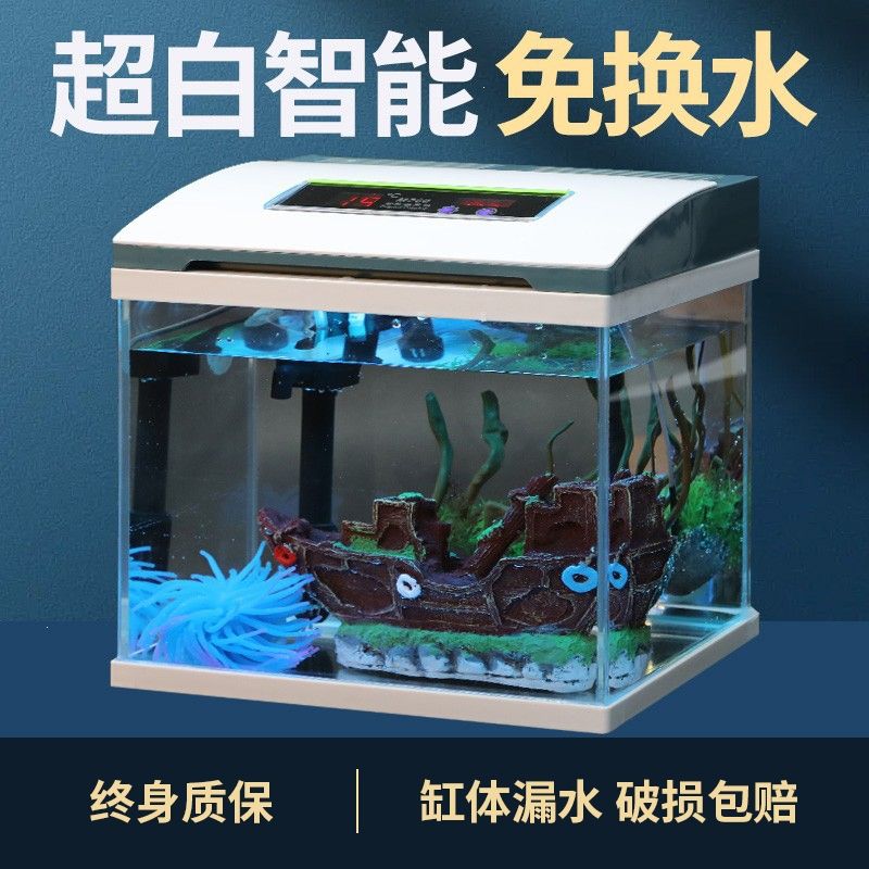 玻璃魚缸底部爛了漏水怎么辦：如何處理玻璃魚缸底部漏水？ 魚缸百科 第3張