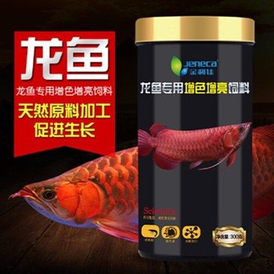 金龍魚魚苗吃什么長的快一點 龍魚百科 第1張