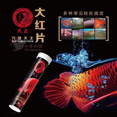 虎魚身上白點用什么藥治好：虎魚身上白點怎么治療 虎魚百科 第2張