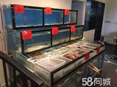 定做超市魚缸：哪里有定做超市魚缸的公司