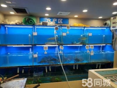 定做超市魚缸：哪里有定做超市魚缸的公司 魚缸百科 第4張