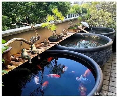 玻璃魚(yú)缸能放在有陽(yáng)光的陽(yáng)臺(tái)養(yǎng)魚(yú)嗎：將玻璃魚(yú)缸放在有陽(yáng)光的陽(yáng)臺(tái)養(yǎng)魚(yú)可行嗎？