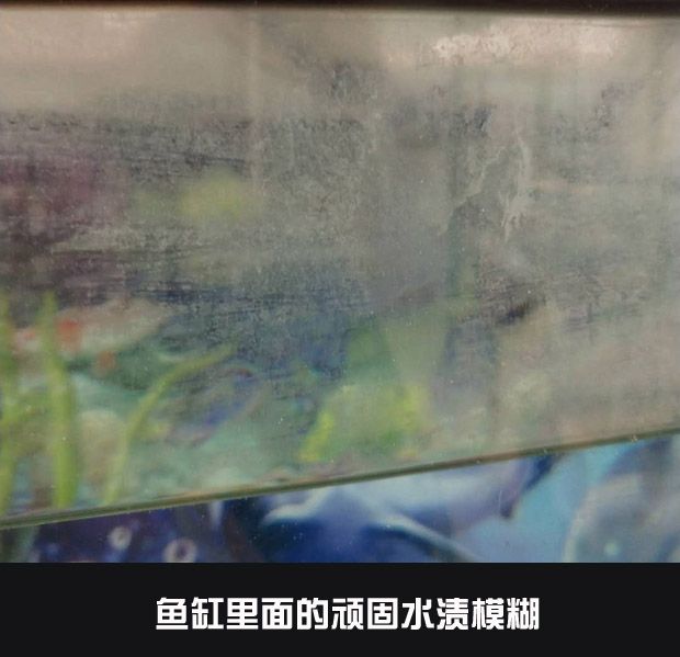 玻璃魚缸劃痕怎么處理好：如何處理魚缸玻璃劃痕？ 魚缸百科 第1張