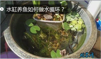 北面陽臺放魚缸好不好：北面陽臺放魚缸有利于財運嗎？ 魚缸百科 第3張