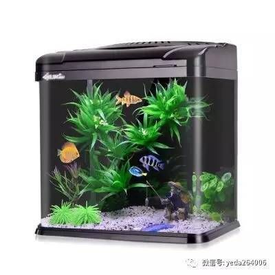 超白魚缸推薦品種：超白魚缸哪個牌子好