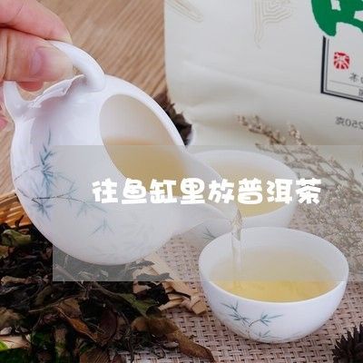 茶水可以倒進(jìn)魚缸里嗎：普洱茶水倒入魚缸會對水質(zhì)和環(huán)境產(chǎn)生影響嗎？ 魚缸百科